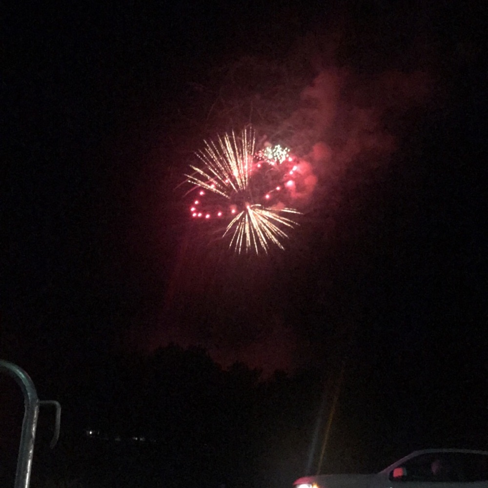 Meet your Posher, Bailey